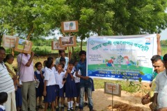 MGNREGA Plantation Week Celebration at Dhengadaha Pry School under Amkopa GP