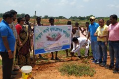 MGNREGA Plantation Week Celebration at Amlagora GP