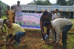 MGNREGA Plantation Week Celebration at Bagdoba Pry School under Benachapra GP